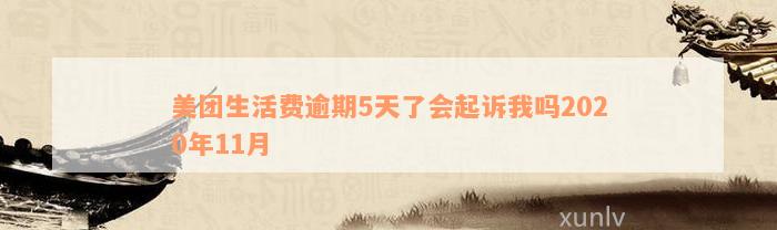 美团生活费逾期5天了会起诉我吗2020年11月