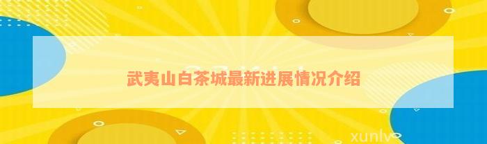 武夷山白茶城最新进展情况介绍