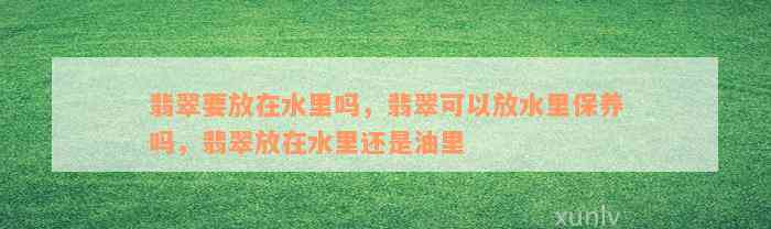 翡翠要放在水里吗，翡翠可以放水里保养吗，翡翠放在水里还是油里