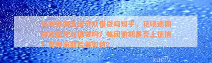 花呗逾期美团可以借贷吗知乎，花呗逾期还款后可以借贷吗？美团逾期是否上征信？花呗逾期后果如何？