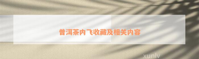 普洱茶内飞收藏及相关内容