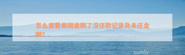 怎么查看美团逾期了没还款记录及未还金额？