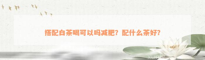 搭配白茶喝可以吗减肥？配什么茶好？