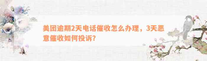 美团逾期2天电话催收怎么办理，3天恶意催收如何投诉？