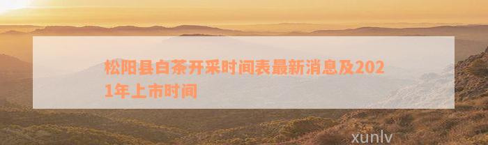 松阳县白茶开采时间表最新消息及2021年上市时间