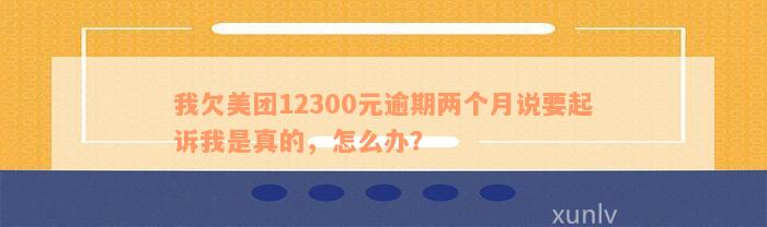 我欠美团12300元逾期两个月说要起诉我是真的，怎么办？