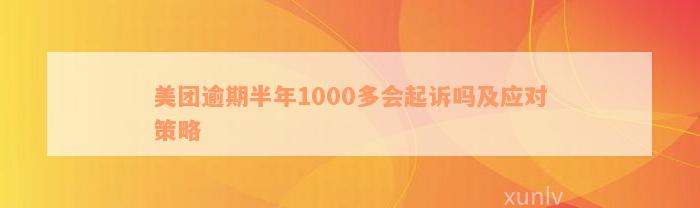 美团逾期半年1000多会起诉吗及应对策略