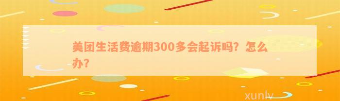 美团生活费逾期300多会起诉吗？怎么办？