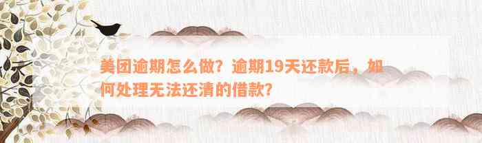 美团逾期怎么做？逾期19天还款后，如何处理无法还清的借款？