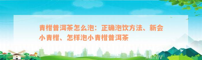 青柑普洱茶怎么泡：正确泡饮方法、新会小青柑、怎样泡小青柑普洱茶