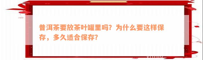 普洱茶要放茶叶罐里吗？为什么要这样保存，多久适合保存？