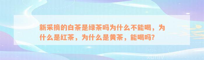 新采摘的白茶是绿茶吗为什么不能喝，为什么是红茶，为什么是黄茶，能喝吗？