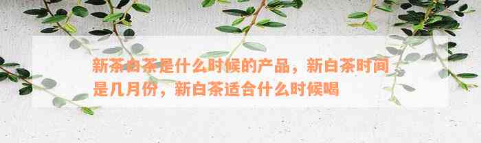 新茶白茶是什么时候的产品，新白茶时间是几月份，新白茶适合什么时候喝