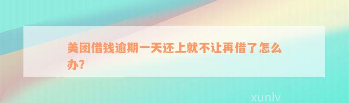 美团借钱逾期一天还上就不让再借了怎么办？