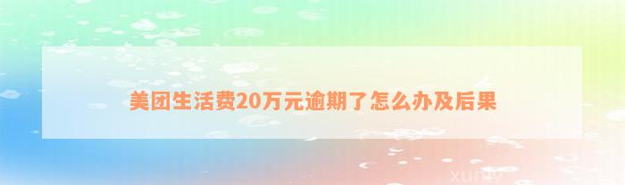 美团生活费20万元逾期了怎么办及后果