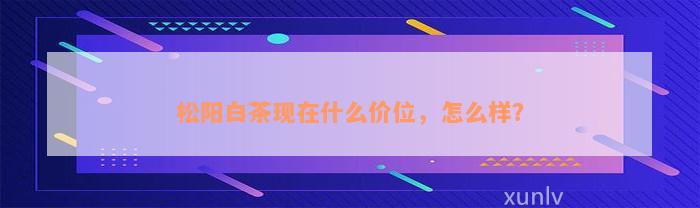 松阳白茶现在什么价位，怎么样？