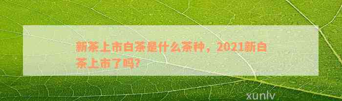 新茶上市白茶是什么茶种，2021新白茶上市了吗？