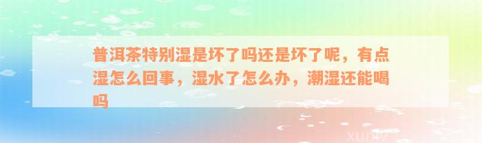 普洱茶特别湿是坏了吗还是坏了呢，有点湿怎么回事，湿水了怎么办，潮湿还能喝吗