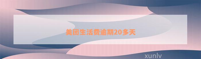 美团生活费逾期20多天