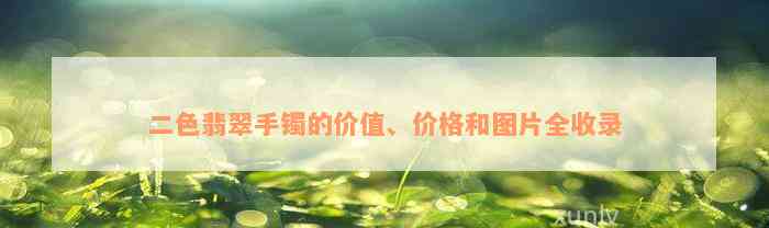 二色翡翠手镯的价值、价格和图片全收录