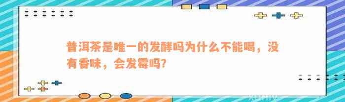 普洱茶是唯一的发酵吗为什么不能喝，没有香味，会发霉吗？