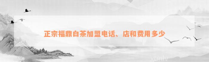 正宗福鼎白茶加盟电话、店和费用多少