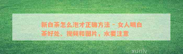 新白茶怎么泡才正确方法 - 女人喝白茶好处、视频和图片，水要注意