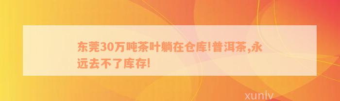 东莞30万吨茶叶躺在仓库!普洱茶,永远去不了库存!