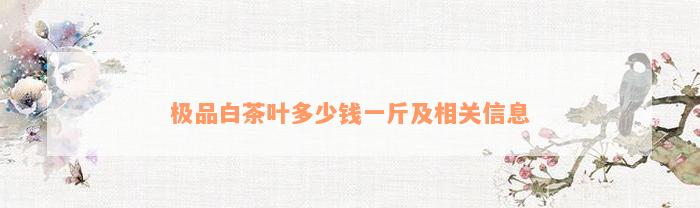 极品白茶叶多少钱一斤及相关信息