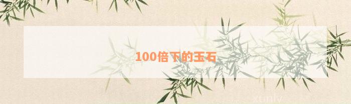 100倍下的玉石