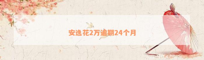 安逸花2万逾期24个月