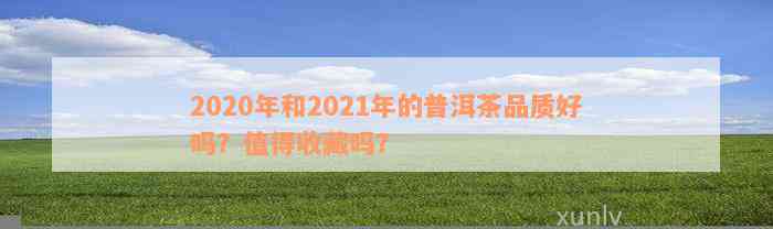 2020年和2021年的普洱茶品质好吗？值得收藏吗？