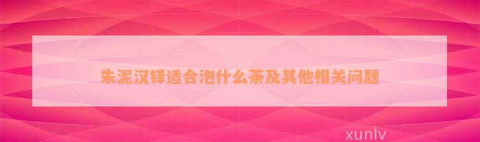 朱泥汉铎适合泡什么茶及其他相关问题