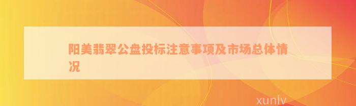 阳美翡翠公盘投标注意事项及市场总体情况