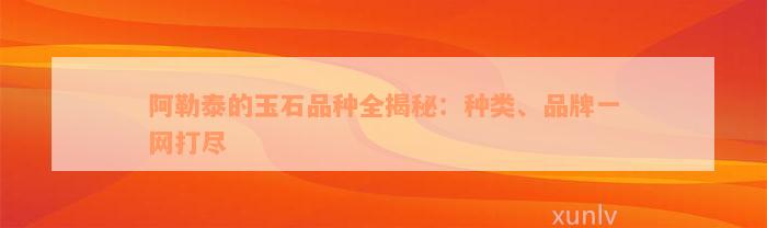 阿勒泰的玉石品种全揭秘：种类、品牌一网打尽