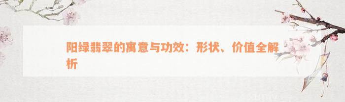 阳绿翡翠的寓意与功效：形状、价值全解析