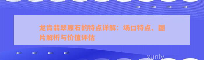 龙肯翡翠原石的特点详解：场口特点、图片解析与价值评估