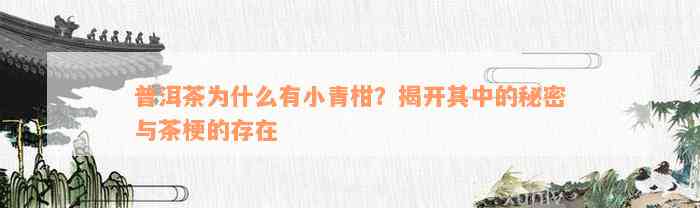 普洱茶为什么有小青柑？揭开其中的秘密与茶梗的存在