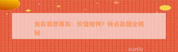 龙肯翡翠原石：价值如何？特点及图全揭秘