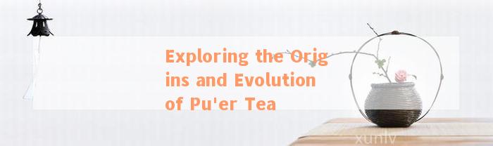 Exploring the Origins and Evolution of Pu'er Tea