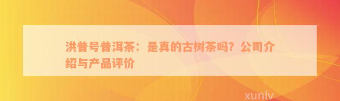 洪普号普洱茶：是真的古树茶吗？公司介绍与产品评价