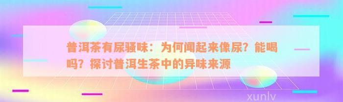 普洱茶有尿骚味：为何闻起来像尿？能喝吗？探讨普洱生茶中的异味来源