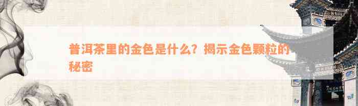 普洱茶里的金色是什么？揭示金色颗粒的秘密