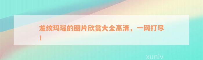 龙纹玛瑙的图片欣赏大全高清，一网打尽！