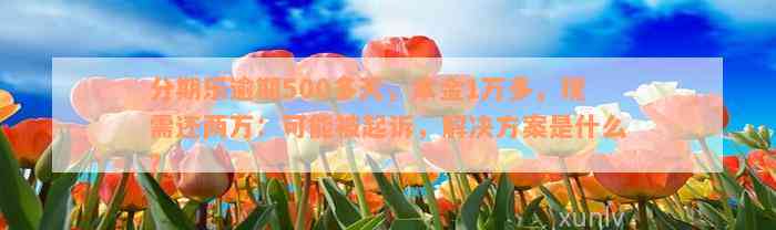 分期乐逾期500多天，本金1万多，现需还两万：可能被起诉，解决方案是什么？