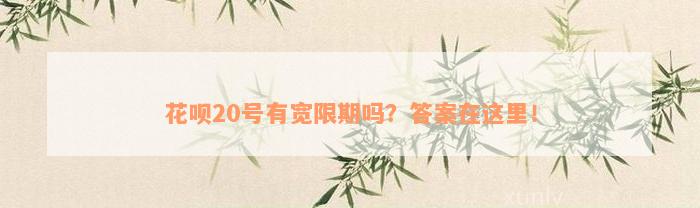 花呗20号有宽限期吗？答案在这里！