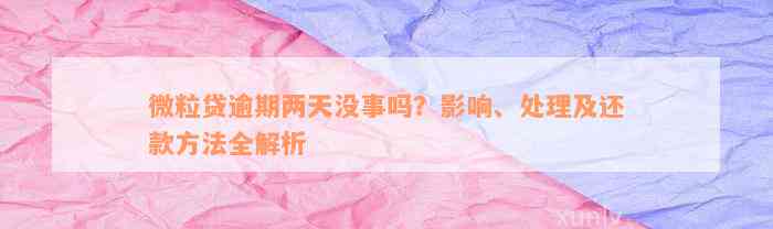 微粒贷逾期两天没事吗？影响、处理及还款方法全解析