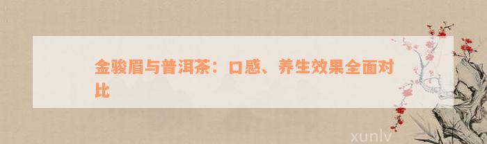 金骏眉与普洱茶：口感、养生效果全面对比