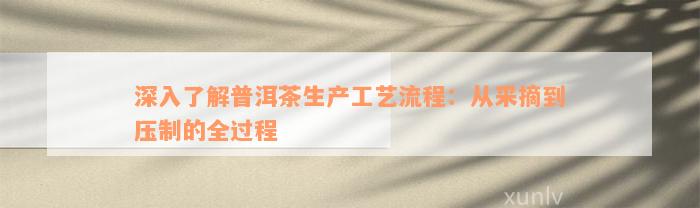 深入了解普洱茶生产工艺流程：从采摘到压制的全过程