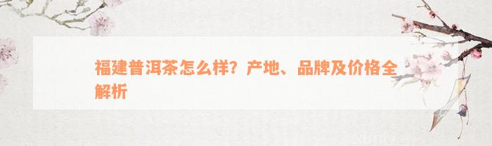 福建普洱茶怎么样？产地、品牌及价格全解析